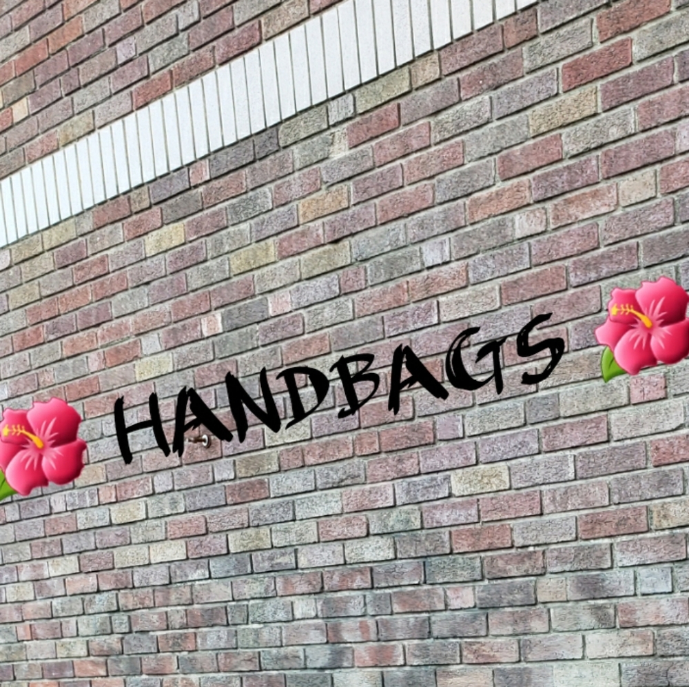 Handbags/Bags/Purse/Satchel/Crossbody